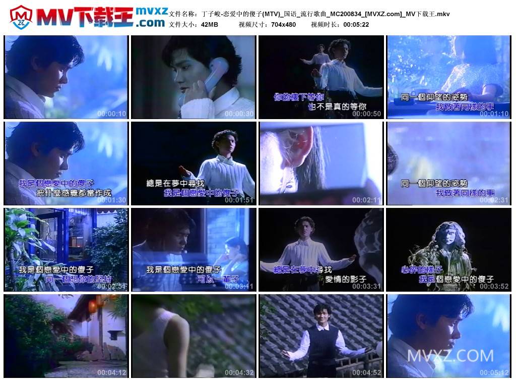 丁子峻-恋爱中的傻子(MTV)_国语_流行歌曲_MC200834